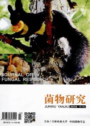 菌物研究 菌物学论文发表的期刊