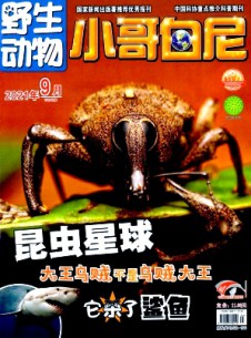 小哥白尼·野生动物画报