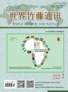 点击查看世界竹藤通讯